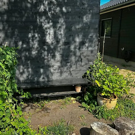 New Summer House With Kitchen Garden By Faxe Bay