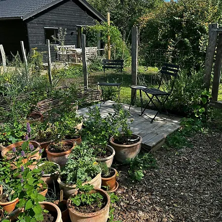 New Summer House With Kitchen Garden By Faxe Bay *