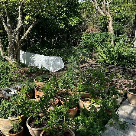 New Summer House With Kitchen Garden By Faxe Bay *